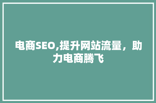 电商SEO,提升网站流量，助力电商腾飞