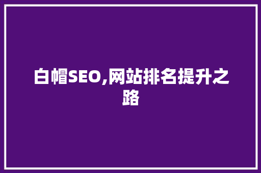 白帽SEO,网站排名提升之路