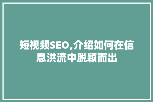 短视频SEO,介绍如何在信息洪流中脱颖而出