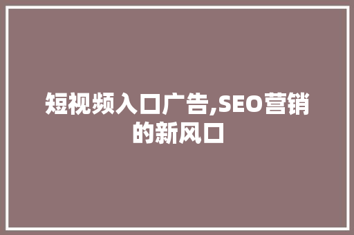 短视频入口广告,SEO营销的新风口