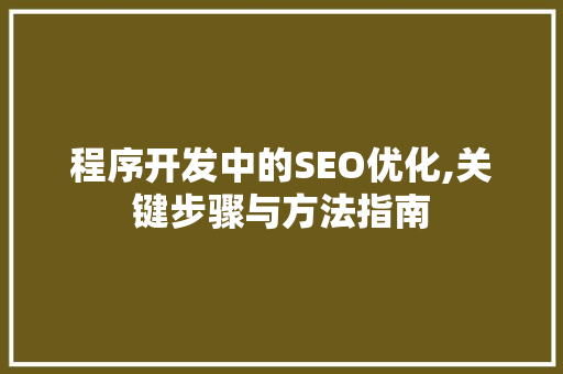 程序开发中的SEO优化,关键步骤与方法指南