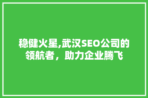 稳健火星,武汉SEO公司的领航者，助力企业腾飞
