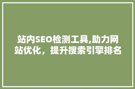 站内SEO检测工具,助力网站优化，提升搜索引擎排名