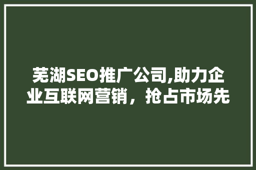 芜湖SEO推广公司,助力企业互联网营销，抢占市场先机