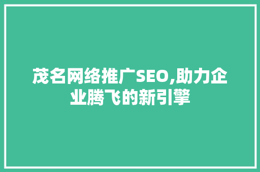 茂名网络推广SEO,助力企业腾飞的新引擎