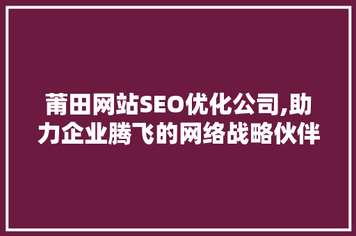 莆田网站SEO优化公司,助力企业腾飞的网络战略伙伴