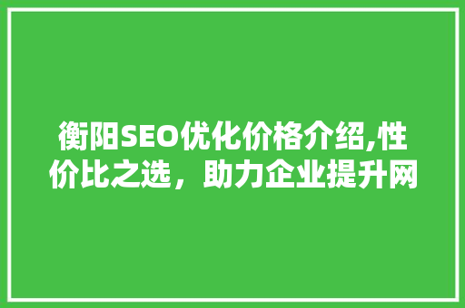 衡阳SEO优化价格介绍,性价比之选，助力企业提升网络竞争力