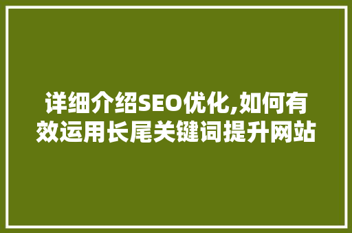 详细介绍SEO优化,如何有效运用长尾关键词提升网站排名