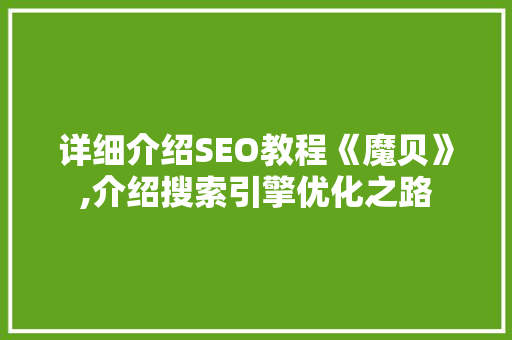 详细介绍SEO教程《魔贝》,介绍搜索引擎优化之路