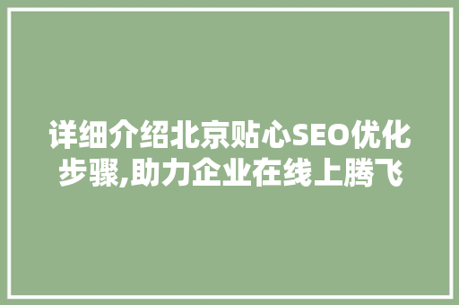 详细介绍北京贴心SEO优化步骤,助力企业在线上腾飞