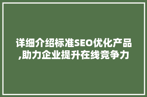 详细介绍标准SEO优化产品,助力企业提升在线竞争力