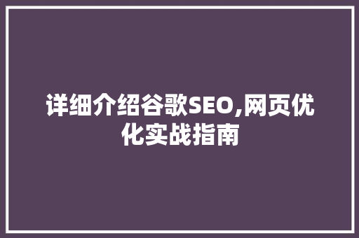 详细介绍谷歌SEO,网页优化实战指南