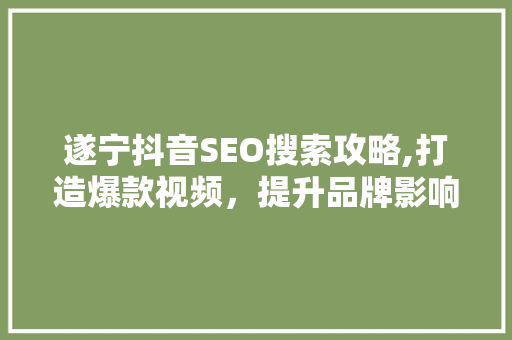 遂宁抖音SEO搜索攻略,打造爆款视频，提升品牌影响力