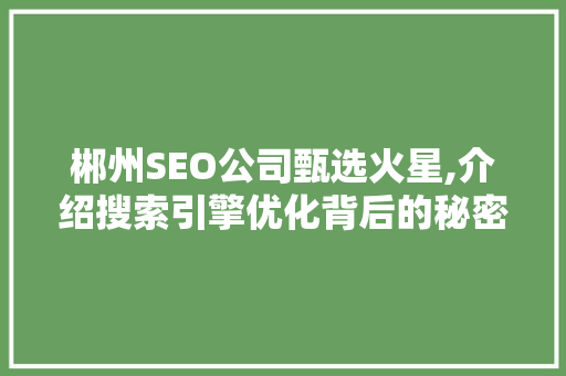 郴州SEO公司甄选火星,介绍搜索引擎优化背后的秘密