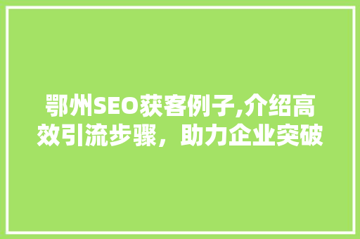 鄂州SEO获客例子,介绍高效引流步骤，助力企业突破增长瓶颈