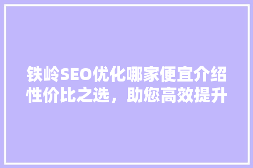铁岭SEO优化哪家便宜介绍性价比之选，助您高效提升网站排名！