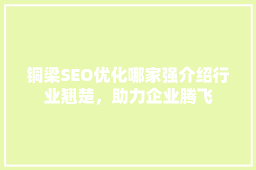 铜梁SEO优化哪家强介绍行业翘楚，助力企业腾飞