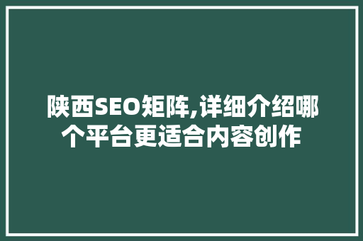陕西SEO矩阵,详细介绍哪个平台更适合内容创作