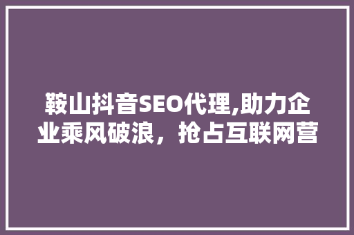 鞍山抖音SEO代理,助力企业乘风破浪，抢占互联网营销制高点