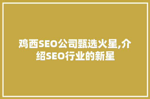 鸡西SEO公司甄选火星,介绍SEO行业的新星