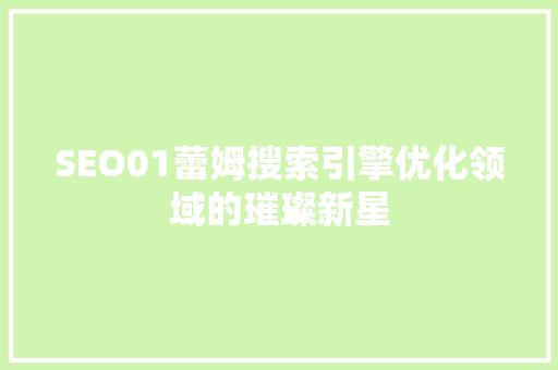 SEO01蕾姆搜索引擎优化领域的璀璨新星