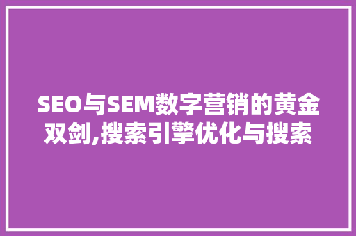 SEO与SEM数字营销的黄金双剑,搜索引擎优化与搜索引擎营销的奥秘