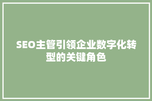 SEO主管引领企业数字化转型的关键角色