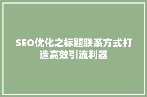SEO优化之标题联系方式打造高效引流利器