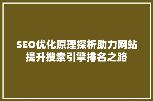 SEO优化原理探析助力网站提升搜索引擎排名之路