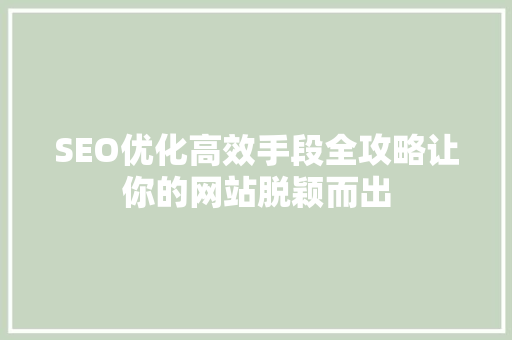 SEO优化高效手段全攻略让你的网站脱颖而出