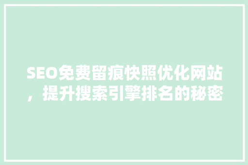 SEO免费留痕快照优化网站，提升搜索引擎排名的秘密武器