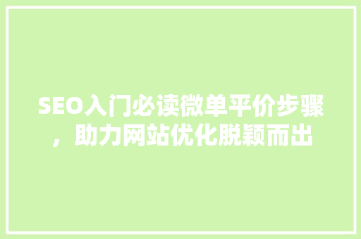 SEO入门必读微单平价步骤，助力网站优化脱颖而出