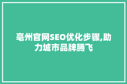 亳州官网SEO优化步骤,助力城市品牌腾飞