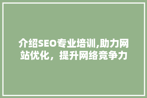 介绍SEO专业培训,助力网站优化，提升网络竞争力