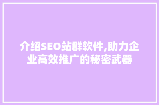 介绍SEO站群软件,助力企业高效推广的秘密武器