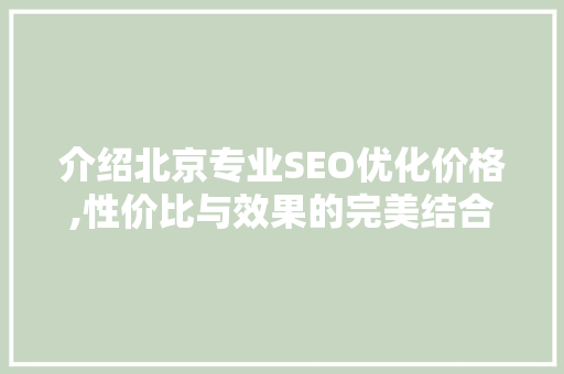 介绍北京专业SEO优化价格,性价比与效果的完美结合