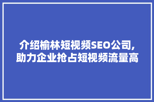 介绍榆林短视频SEO公司,助力企业抢占短视频流量高地 网络技术