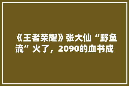 《王者荣耀》张大仙“野鱼流”火了，2090的血书成神器，颠覆玩家理解，具体如何操作「大仙看电脑配置怎么看的」