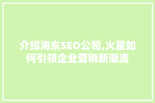 介绍海东SEO公司,火星如何引领企业营销新潮流
