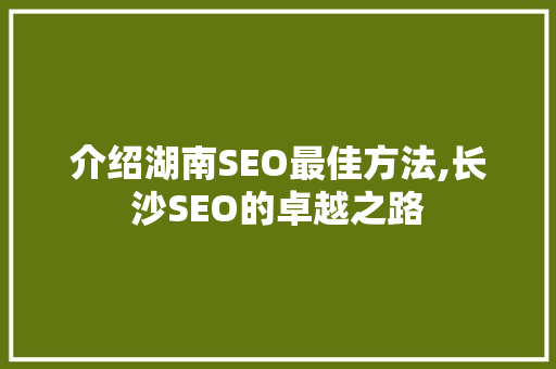 介绍湖南SEO最佳方法,长沙SEO的卓越之路