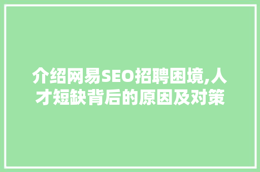 介绍网易SEO招聘困境,人才短缺背后的原因及对策