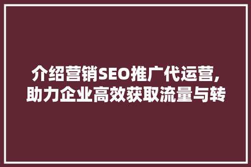 介绍营销SEO推广代运营,助力企业高效获取流量与转化