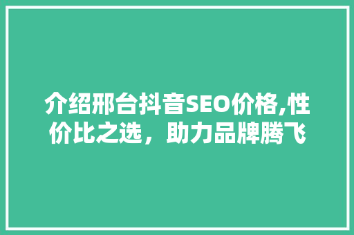 介绍邢台抖音SEO价格,性价比之选，助力品牌腾飞