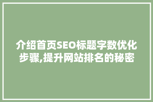 介绍首页SEO标题字数优化步骤,提升网站排名的秘密武器