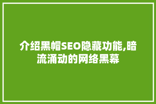 介绍黑帽SEO隐藏功能,暗流涌动的网络黑幕