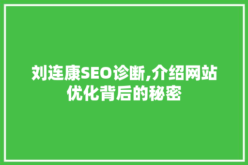 刘连康SEO诊断,介绍网站优化背后的秘密