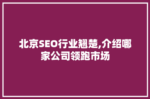 北京SEO行业翘楚,介绍哪家公司领跑市场