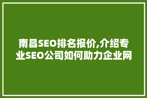 南昌SEO排名报价,介绍专业SEO公司如何助力企业网络营销