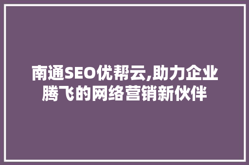 南通SEO优帮云,助力企业腾飞的网络营销新伙伴