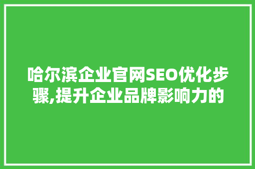 哈尔滨企业官网SEO优化步骤,提升企业品牌影响力的秘密武器